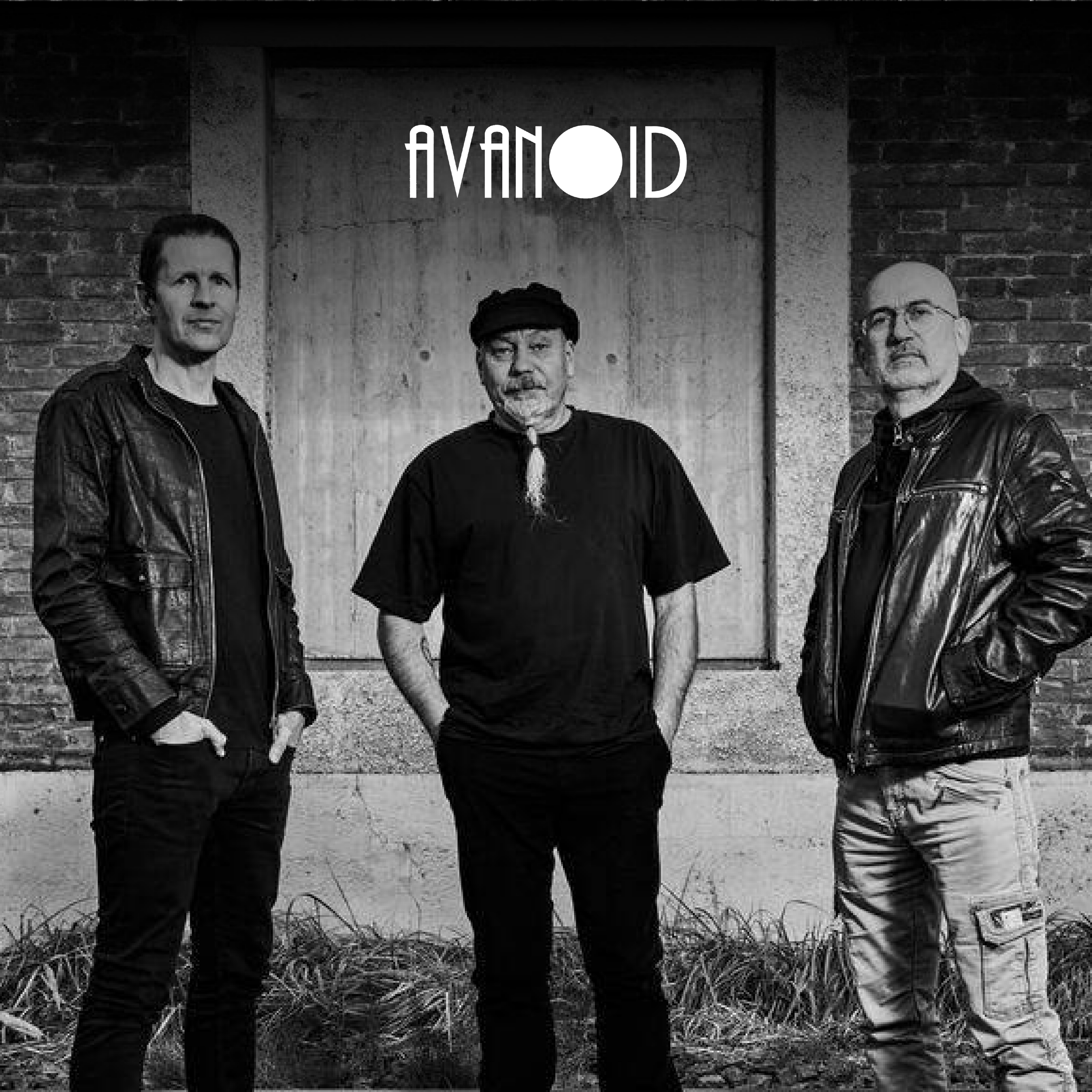 AVANOID