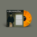 "Of Protest And Truism" von "A Guy Named Lou" auf Vinyl. grün-gräuliches Cover, orange Schallplatte.