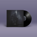 Split-Album der Bands "Amer" und "Discure". Graues Cover, schwarze Schallplatte.