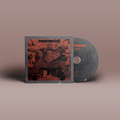 Explo Soli Sampler von grazil Records auf CD, grau-oranges Cover und CD.