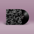 Das Album "radikale empathie von Feder. Schwarz-weißes Cover mit Bienenmotiv, schwarze Vinyl.