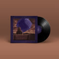 "A Bag Full Of Empty Bags" von "Ilun" auf Vinyl. Braun-lila Cover, schwarze Schallplatte.