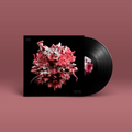 "Lilac Vegetal" von "Lilac Vegtal". schwarz-rot-silbernes Cover, schwarze Schallplatte.
