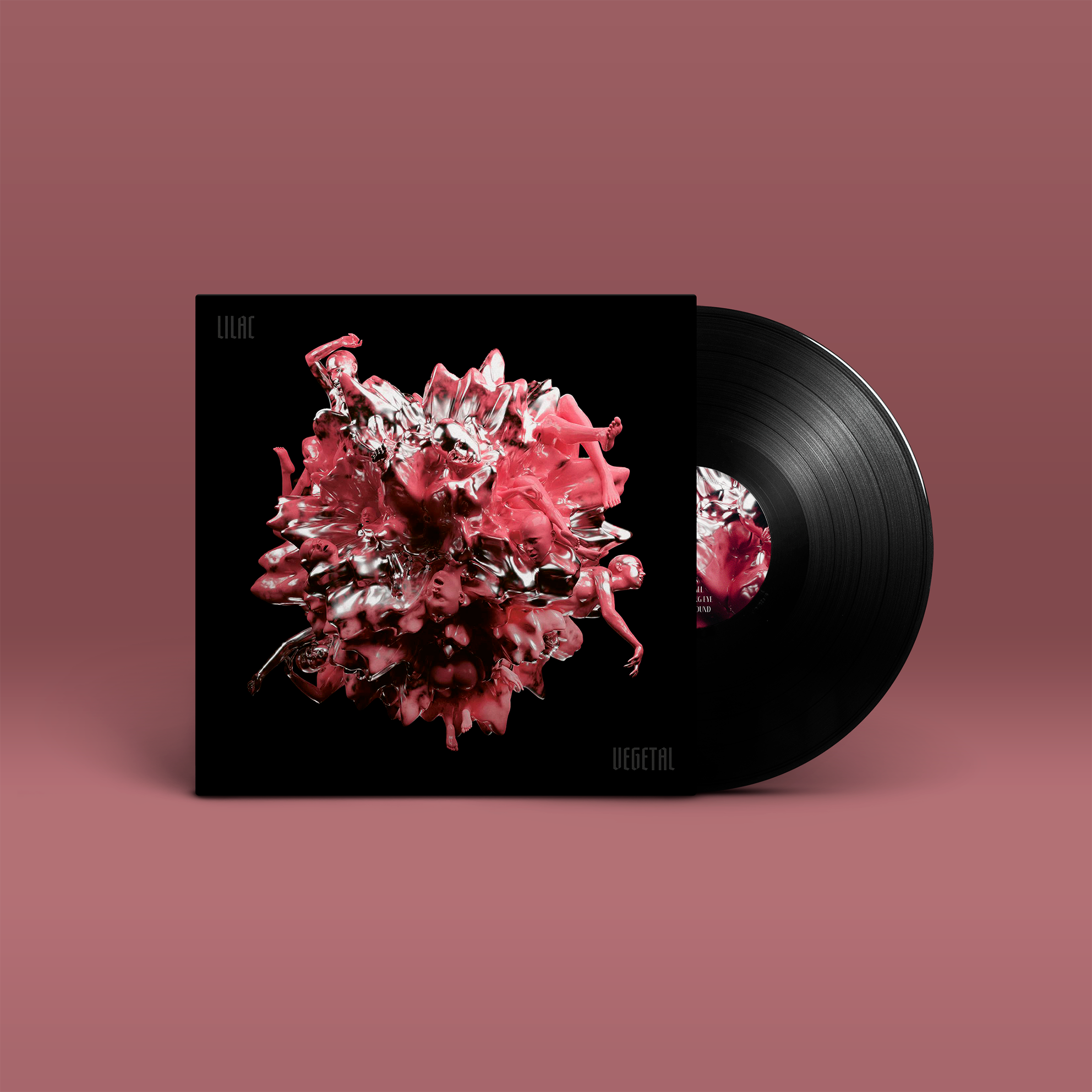"Lilac Vegetal" von "Lilac Vegtal". schwarz-rot-silbernes Cover, schwarze Schallplatte.
