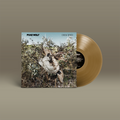 Das Album "Descend" von Puke Wolf- Braun-grün-blaues Cover, braune Schallplatte.