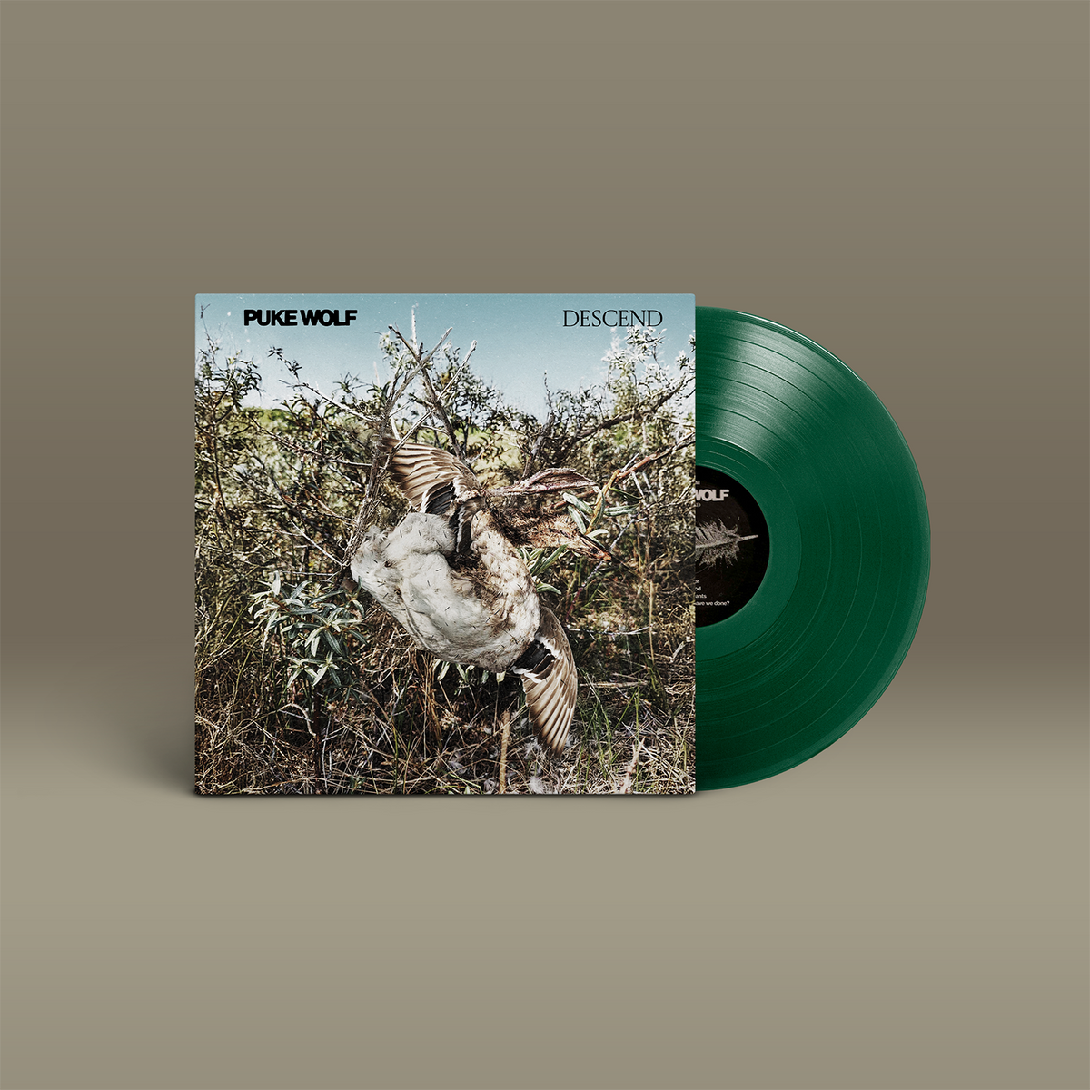 Das Album "Descend" von Puke Wolf- Braun-grün-blaues Cover, grüne Schallplatte.