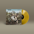 Das Album "Descend" von Puke Wolf- Braun-grün-blaues Cover, gelbe Schallplatte.