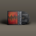 "Despicable" von "Violenta Domestica" auf CD. Schwarz-rot-oranges Cover, schwarz-graue CD.