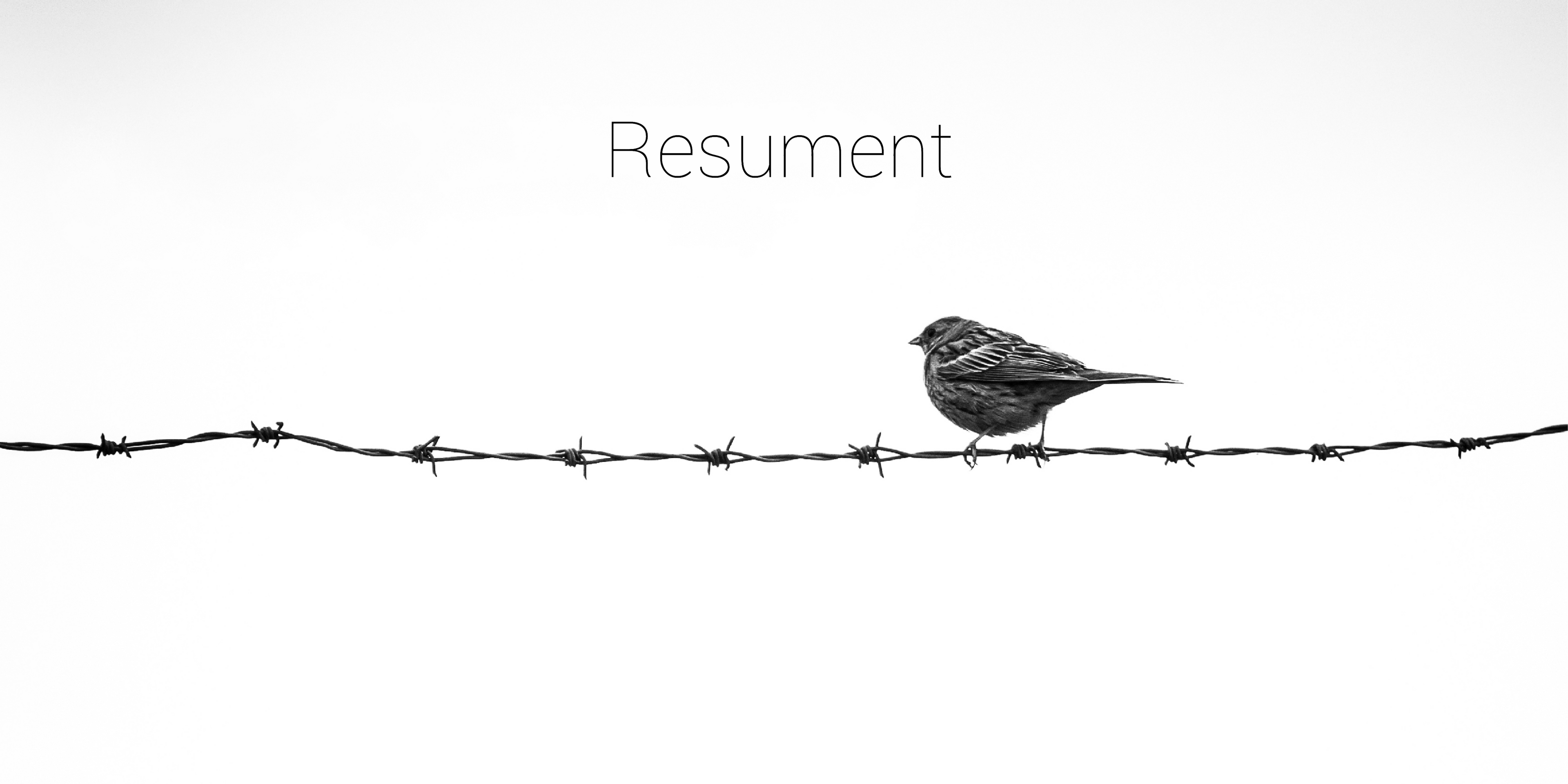 Ein Spatz sitzt auf einem Stacheldraht, darüber der Schriftzug "Resument".