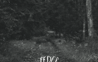 FEDER- FEDER - grazil Records