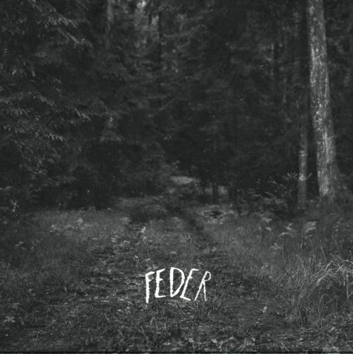 FEDER- FEDER - grazil Records